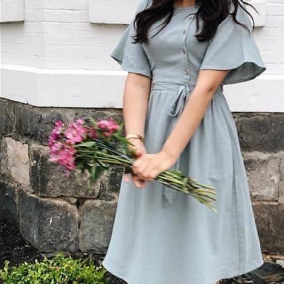 Blue Robin - Picture 3 of 5